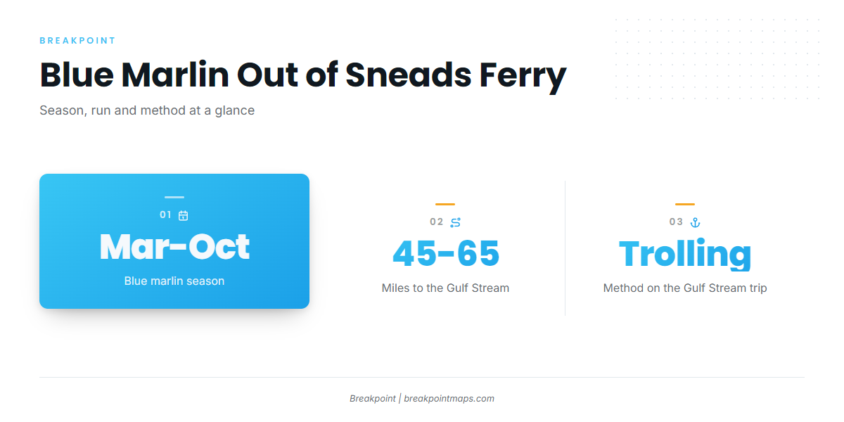 Blue marlin off Sneads Ferry at a glance