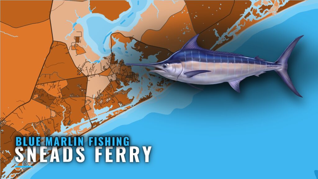 Blue Marlin Fishing Out of Sneads Ferry: Season and Run