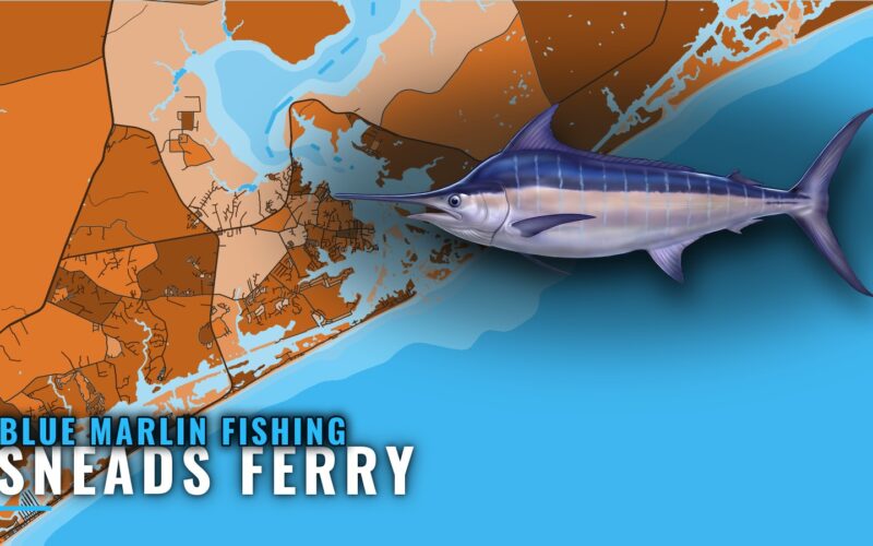 Blue Marlin Fishing Out of Sneads Ferry: Season and Run