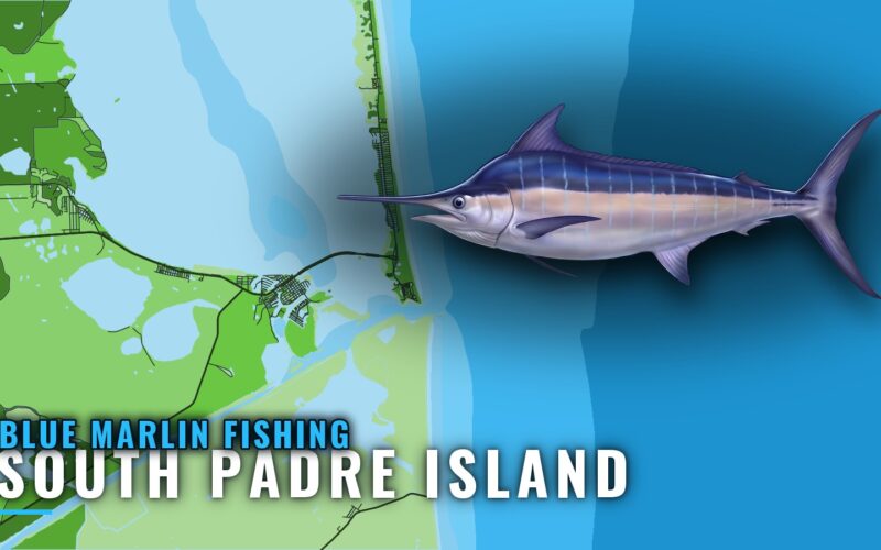 Blue Marlin Fishing out of South Padre Island, Mile by Mile
