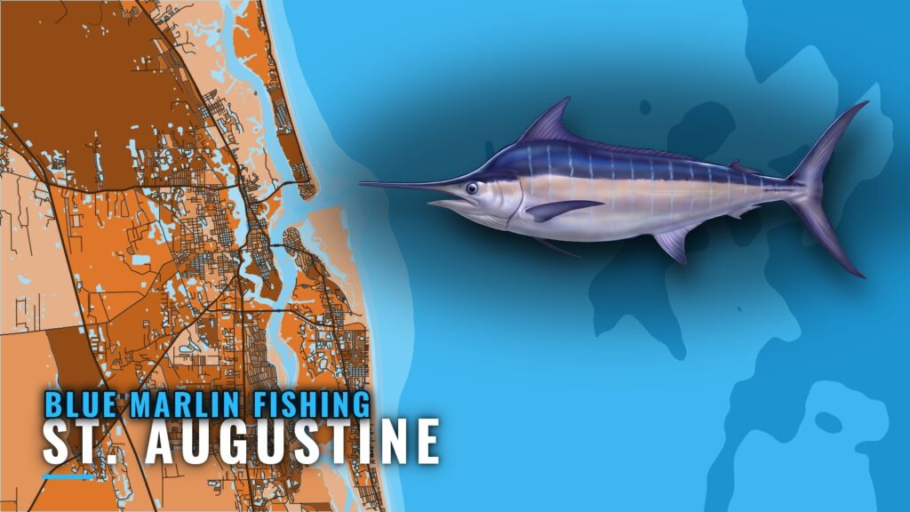 Blue Marlin Fishing Out of St. Augustine: Runs and Reefs