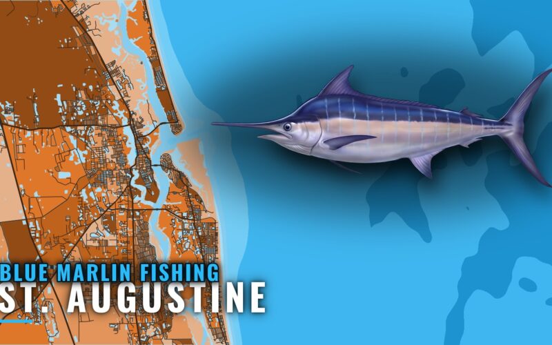 Blue Marlin Fishing Out of St. Augustine: Runs and Reefs