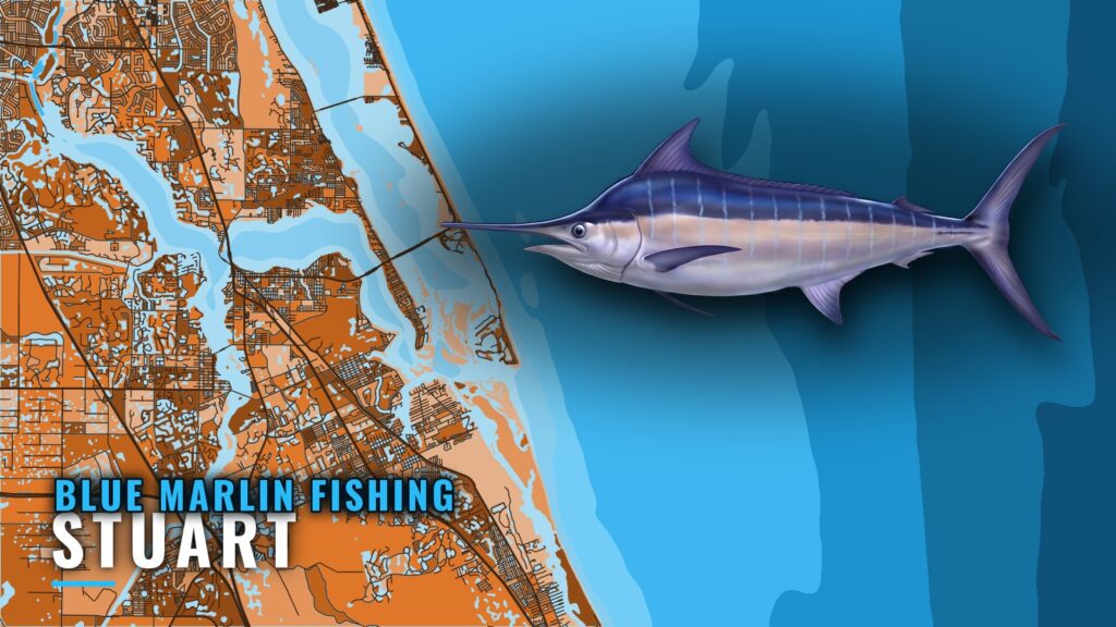 Blue Marlin Fishing Out of Stuart: Runs, Grounds, Charters