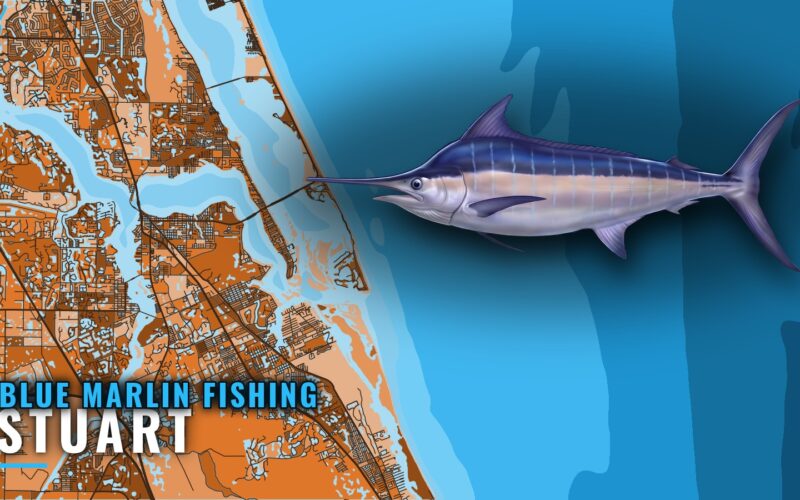 Blue Marlin Fishing Out of Stuart: Runs, Grounds, Charters