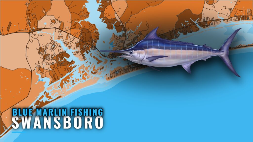 Blue Marlin Fishing Out of Swansboro: Season, Runs, Grounds