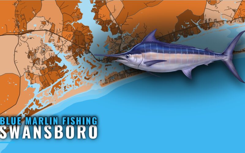 Blue Marlin Fishing Out of Swansboro: Season, Runs, Grounds
