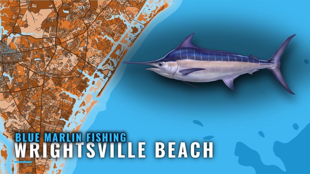 Blue Marlin Fishing out of Wrightsville Beach: Port Guide