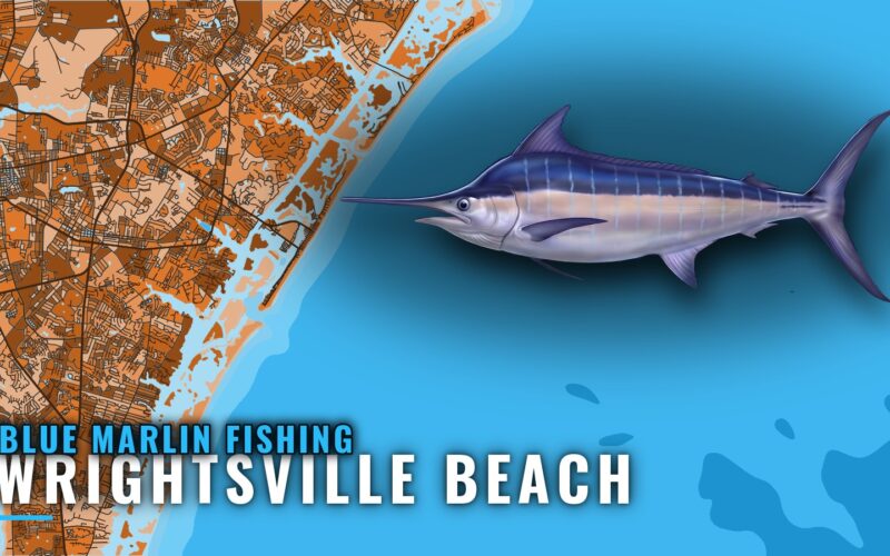 Blue Marlin Fishing out of Wrightsville Beach: Port Guide