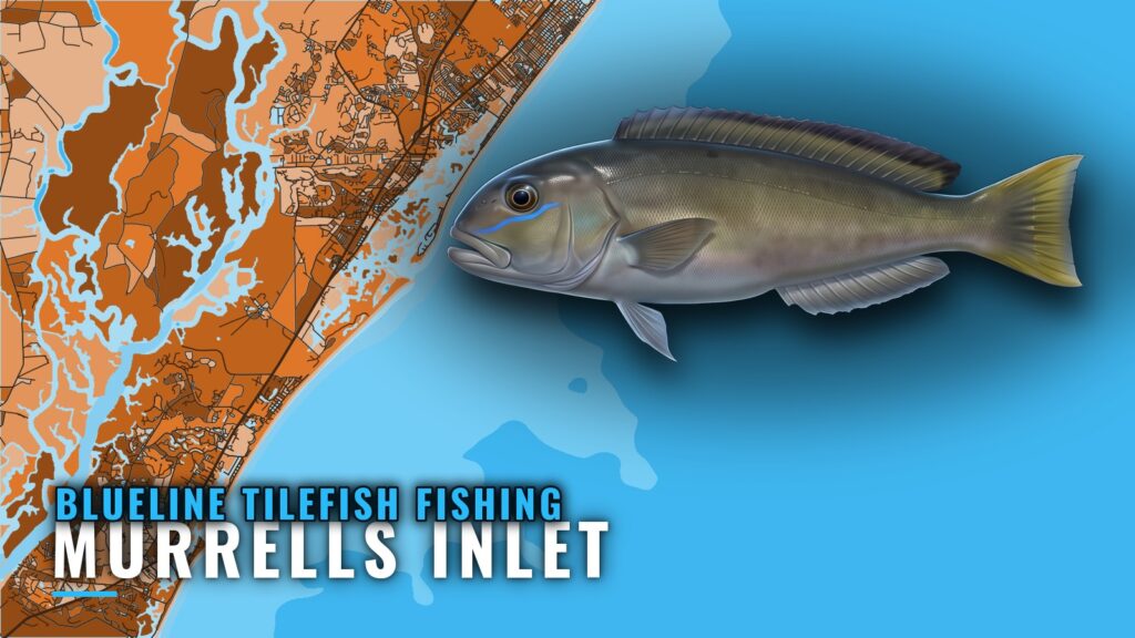 Blueline Tilefish Fishing Out of Murrells Inlet