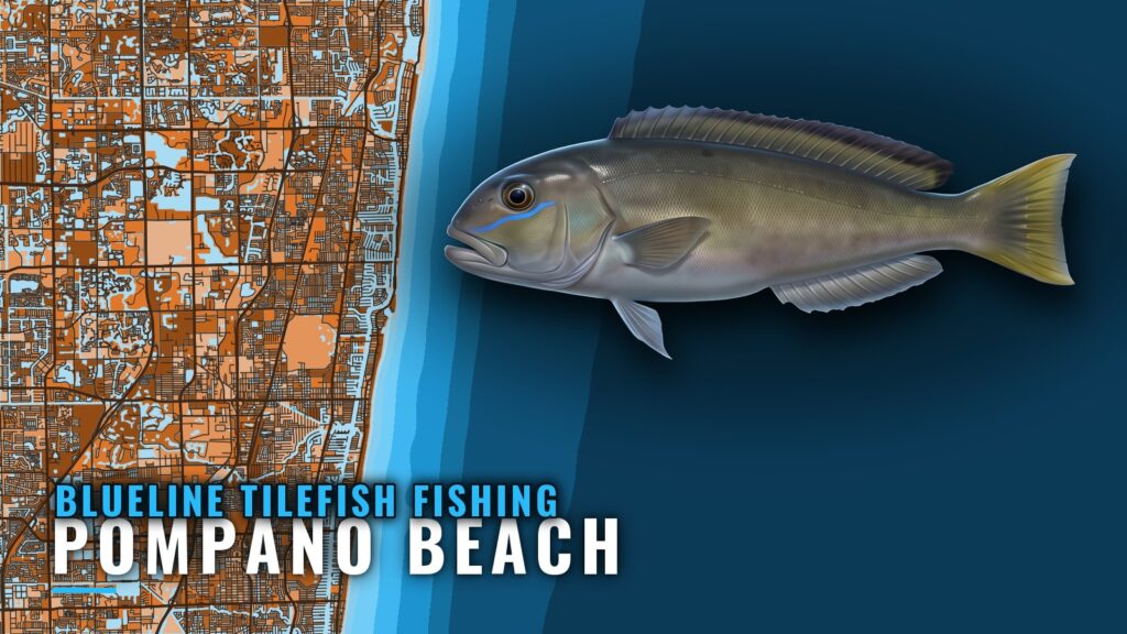 Blueline Tilefish Fishing Out of Pompano Beach: Deep Drops