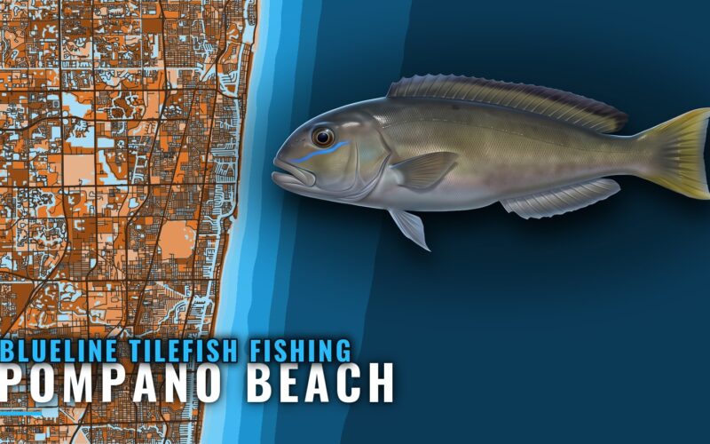 Blueline Tilefish Fishing Out of Pompano Beach: Deep Drops