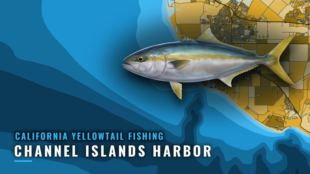 California Yellowtail Fishing Out of Channel Islands Harbor