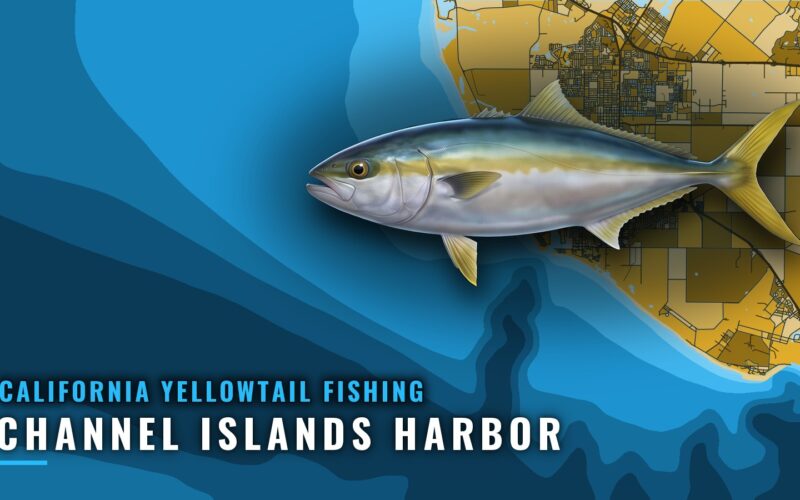 California Yellowtail Fishing Out of Channel Islands Harbor