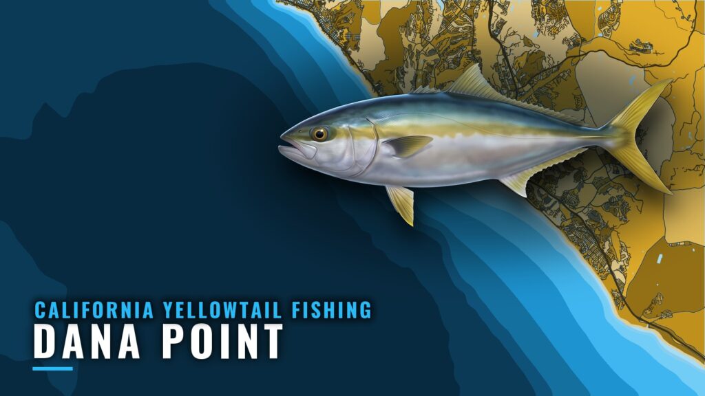 California Yellowtail Fishing Out of Dana Point: Port Brief