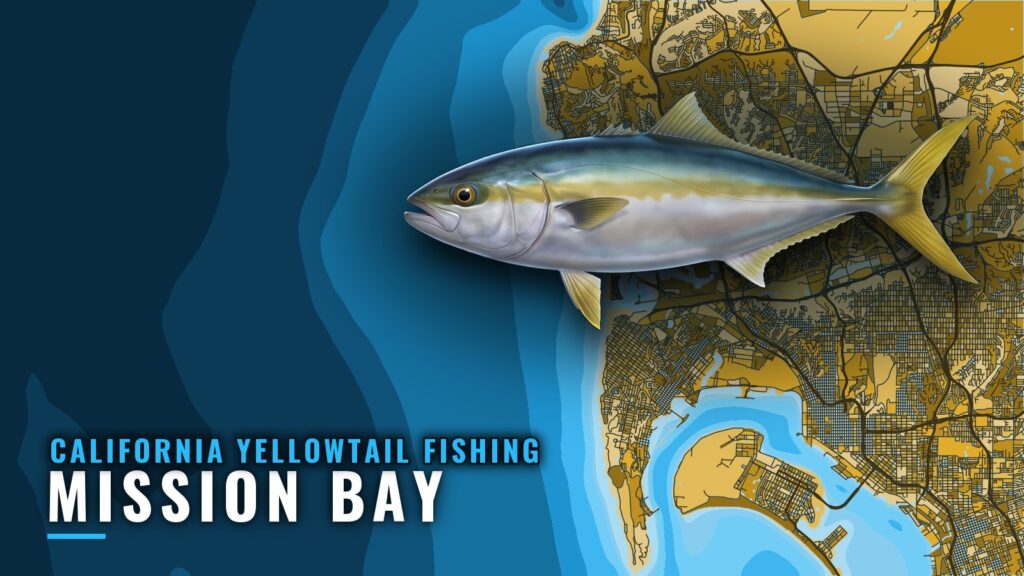 California Yellowtail Fishing Out of Mission Bay