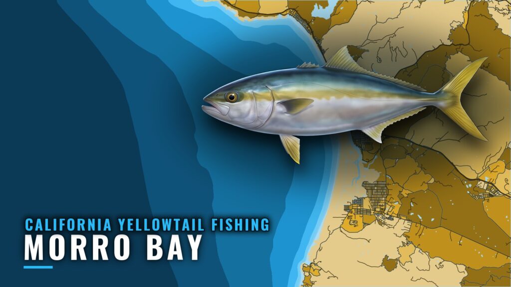 California Yellowtail Fishing Out of Morro Bay: The Grounds