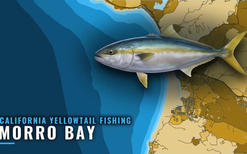 California Yellowtail Fishing Out of Morro Bay: The Grounds