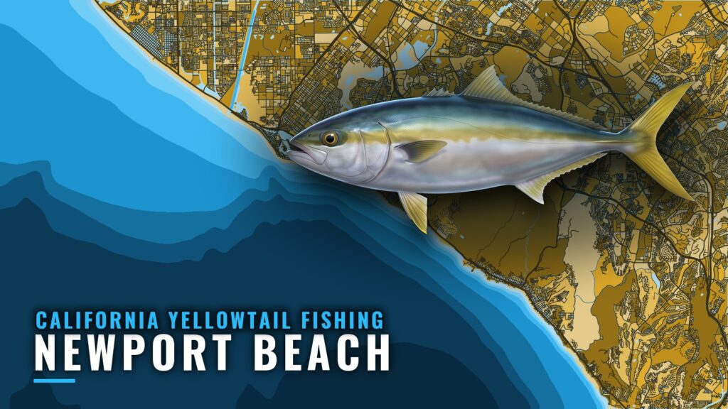 Guide to California Yellowtail Fishing Out of Newport Beach