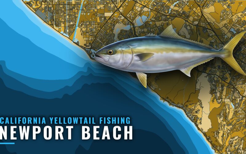 Guide to California Yellowtail Fishing Out of Newport Beach