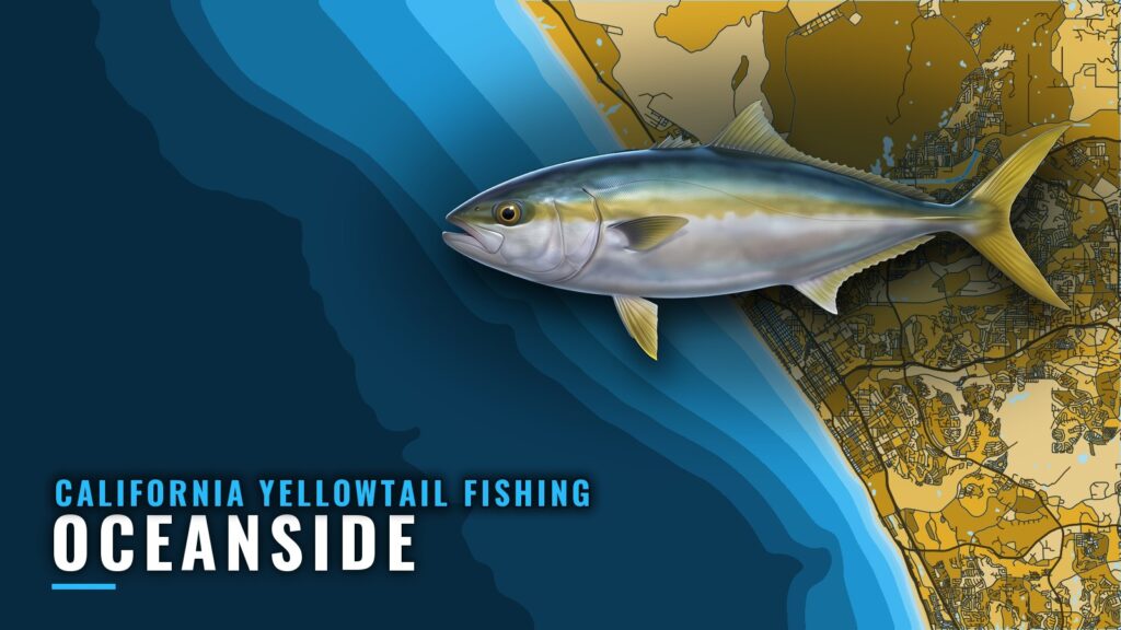 California Yellowtail Fishing Out of Oceanside: Port Guide