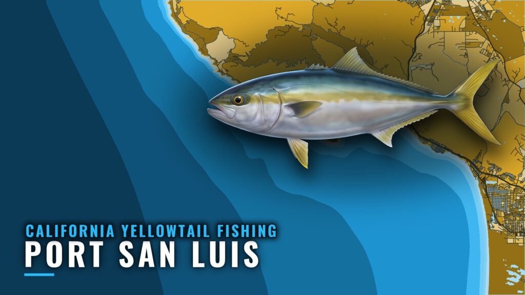 California Yellowtail Fishing Out of Port San Luis Guide