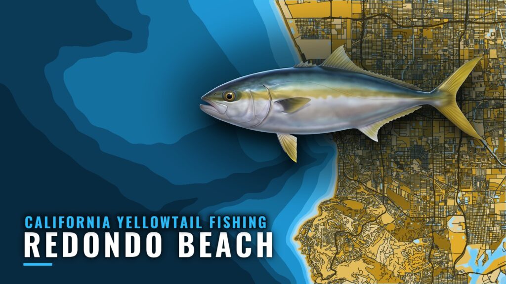 California Yellowtail Fishing Out of Redondo Beach