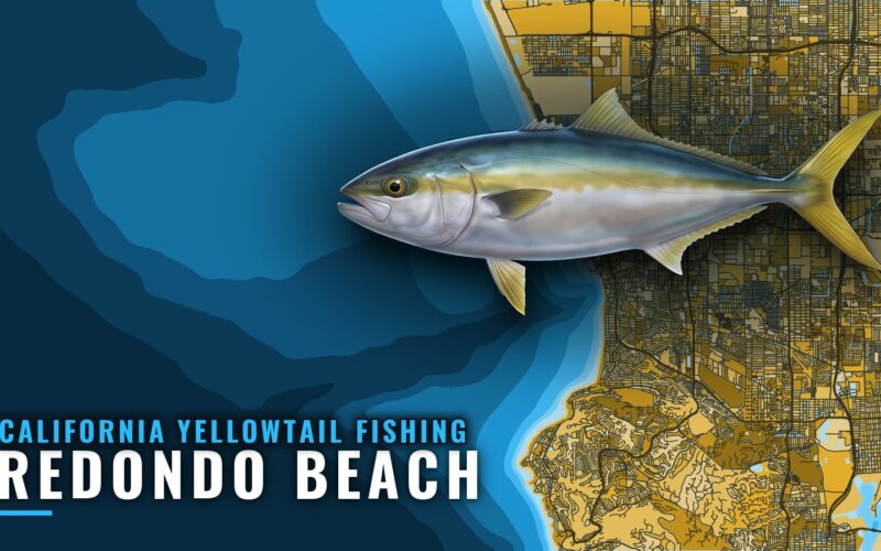 California Yellowtail Fishing Out of Redondo Beach