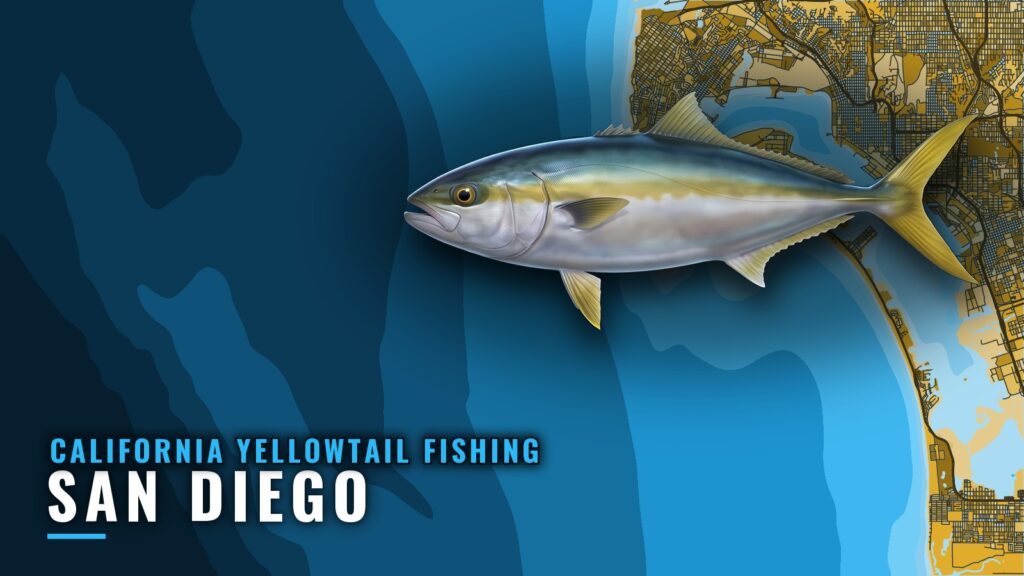 California Yellowtail Fishing Out of San Diego: Port Guide