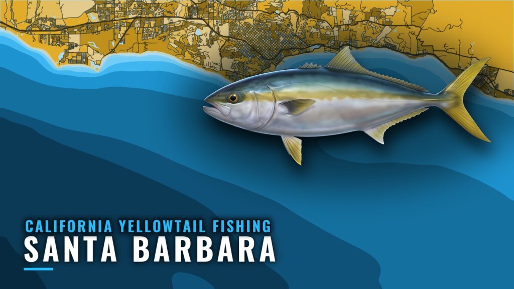 California yellowtail fishing out of Santa Barbara: grounds