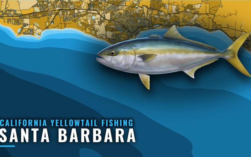 California yellowtail fishing out of Santa Barbara: grounds