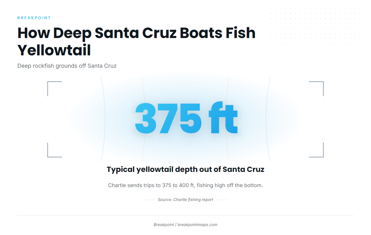 Where Santa Cruz Yellowtail Boats Run and How Deep
