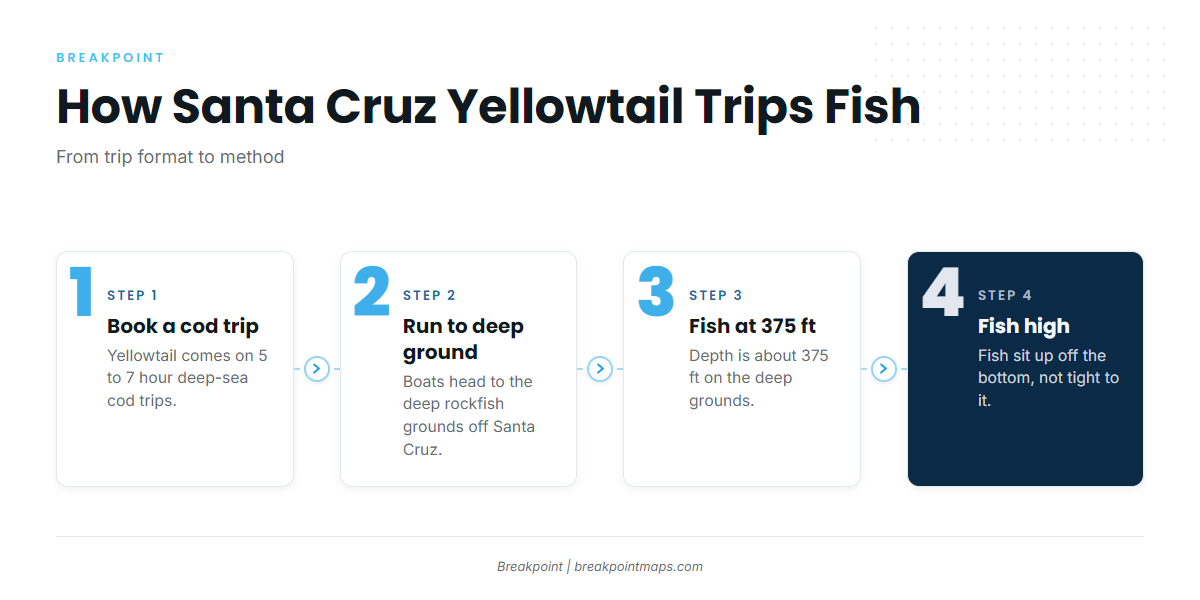 How Yellowtail Are Fished Locally