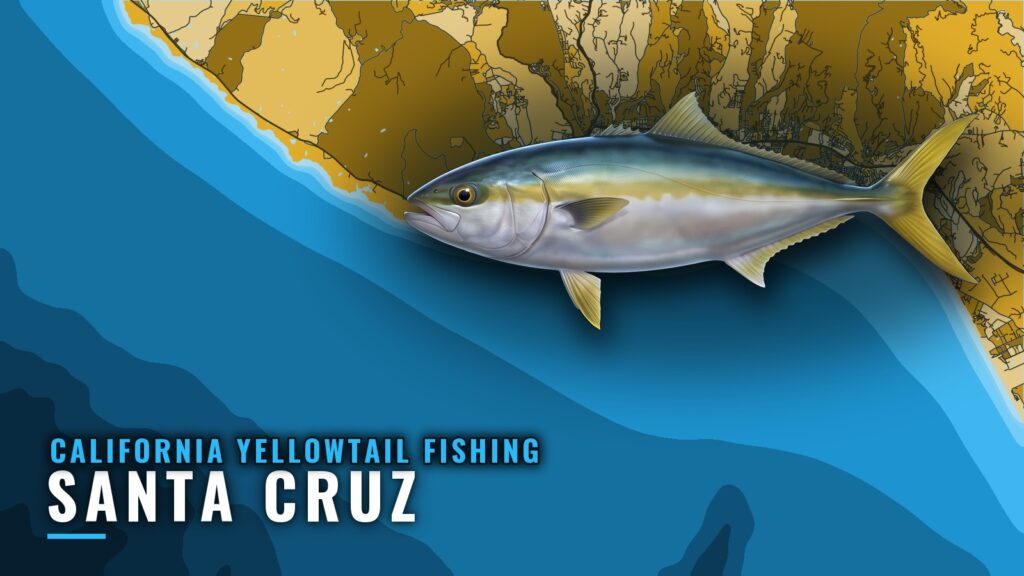 California Yellowtail Fishing Out of Santa Cruz, by Depth
