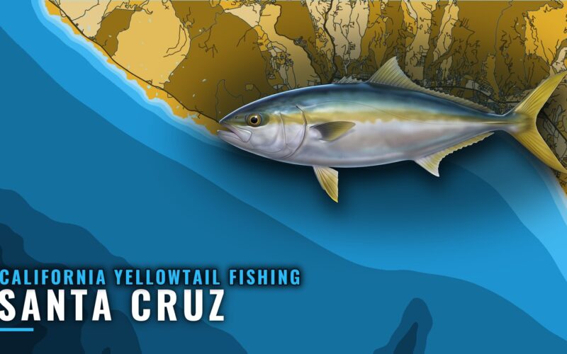 California Yellowtail Fishing Out of Santa Cruz, by Depth