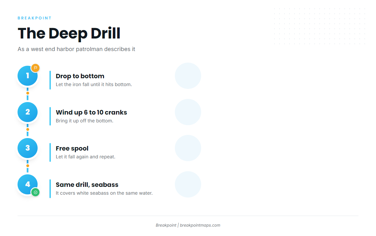 The deep drill (California yellowtail fishing out of Two Harbors)