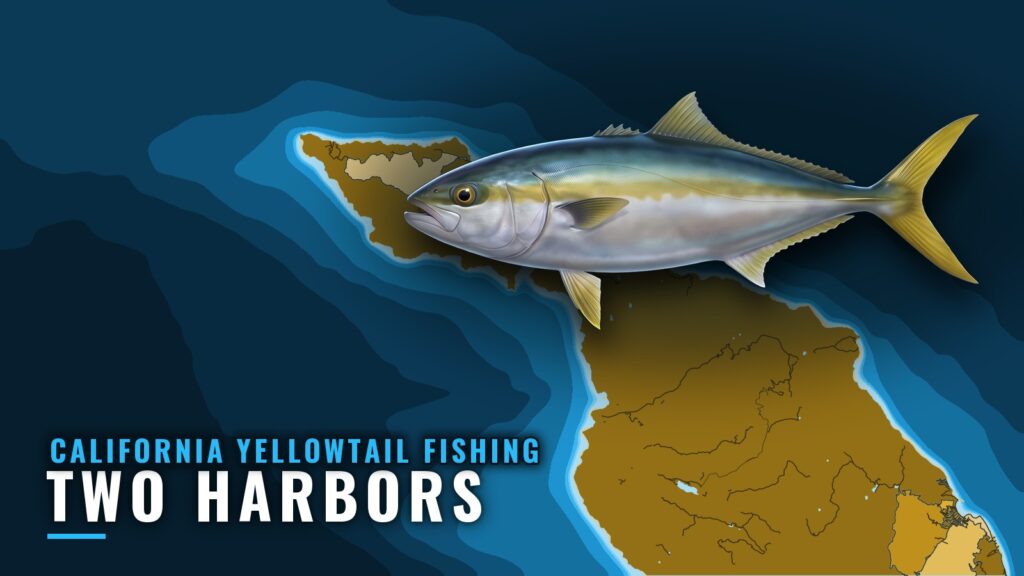 California Yellowtail Fishing Out of Two Harbors: Grounds