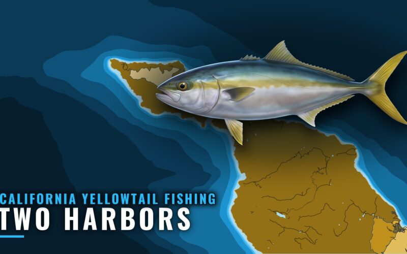 California Yellowtail Fishing Out of Two Harbors: Grounds