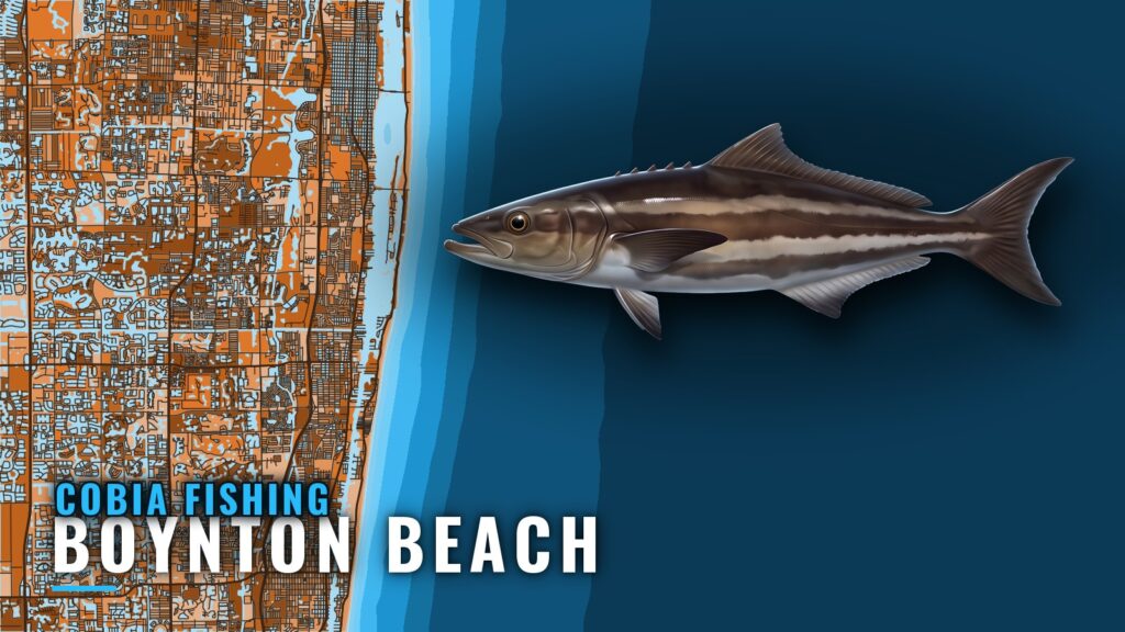 Cobia Fishing Out of Boynton Beach: Months, Wrecks, Reefs