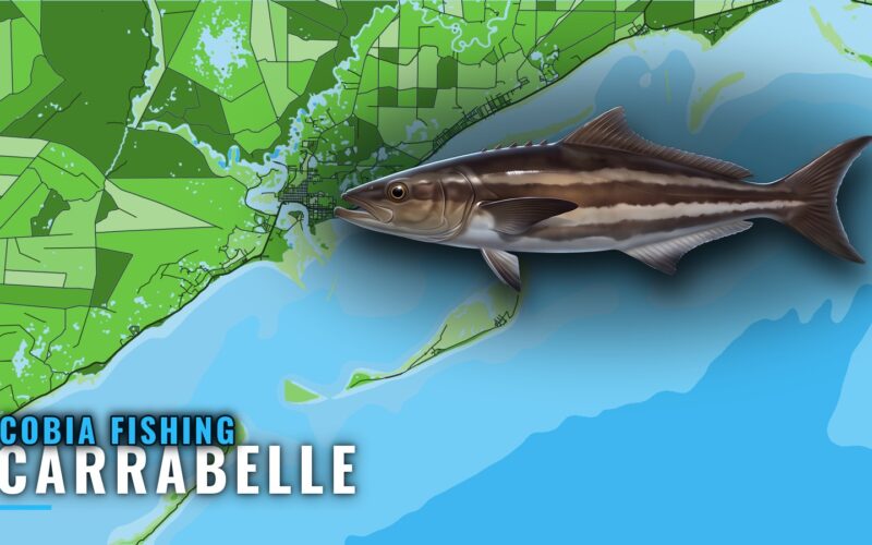 Cobia Fishing out of Carrabelle: Reefs, Towers and Timing