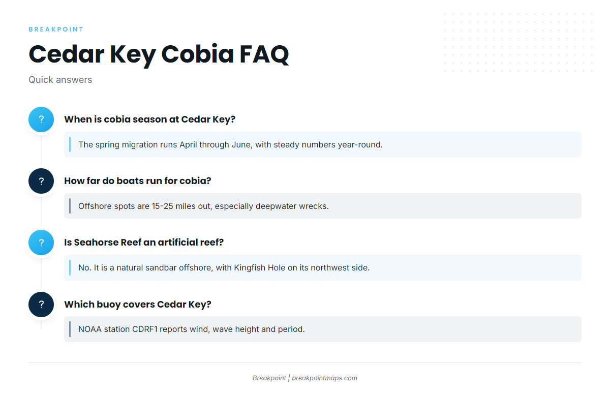 FAQ about cobia fishing out of Cedar Key