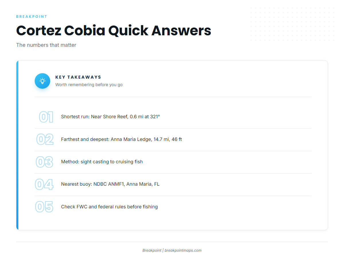 FAQ about cobia fishing out of Cortez