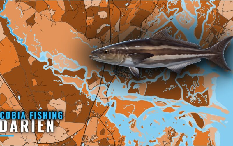 Cobia Fishing Out of Darien: Reefs, Depths and Runs