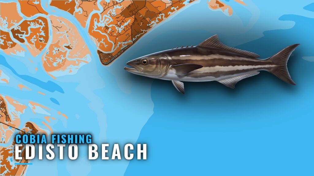 Cobia Fishing Out of Edisto Beach: Reefs, Depths, Season