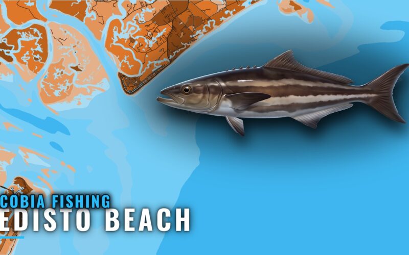 Cobia Fishing Out of Edisto Beach: Reefs, Depths, Season
