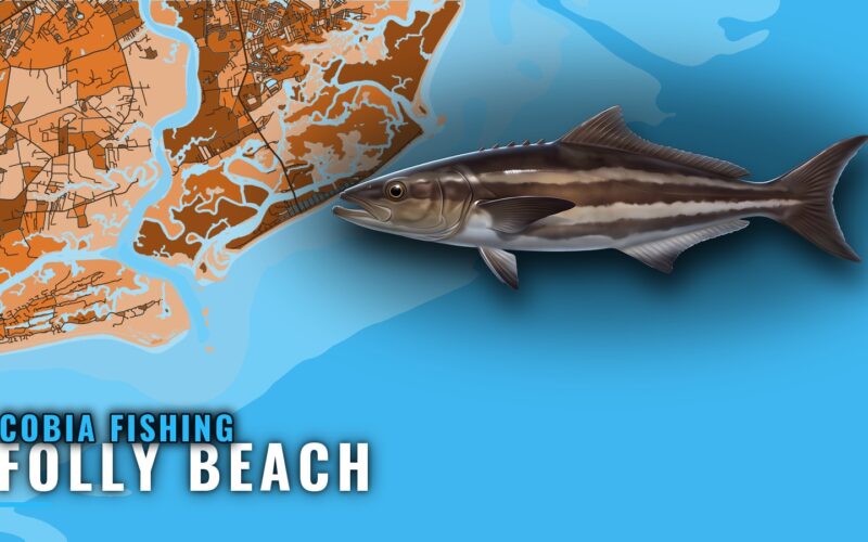 Cobia Fishing Out of Folly Beach: Reefs, Depths, Season