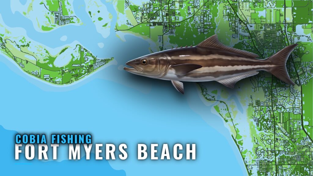 Cobia Fishing Out of Fort Myers Beach: Season, Reefs, Runs