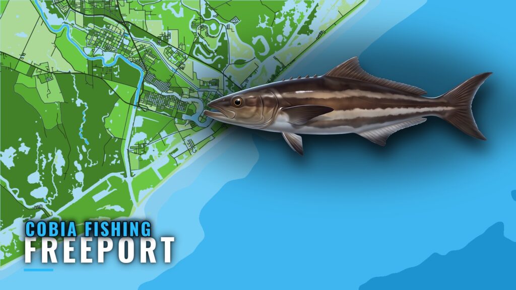 Cobia Fishing Out of Freeport, Texas: Season, Spots, Method