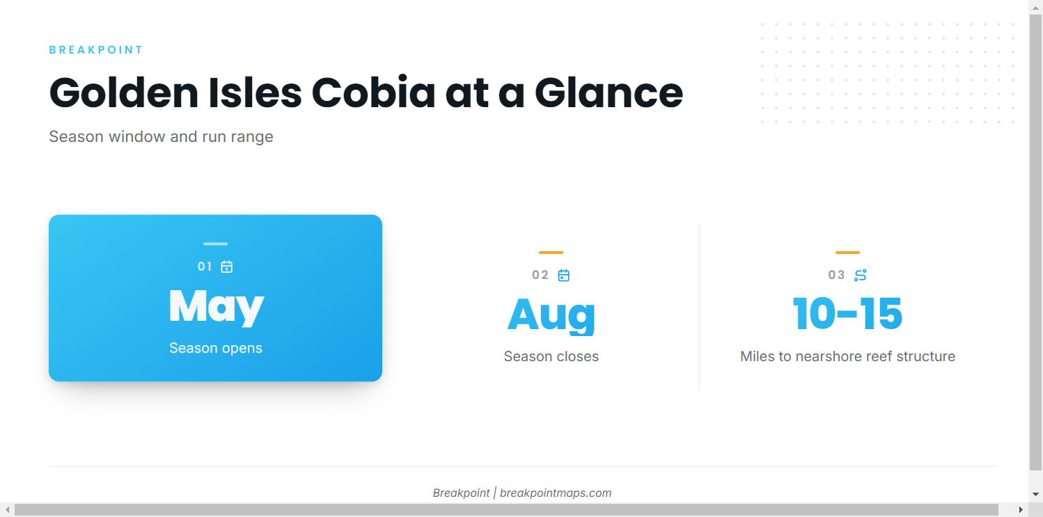 Cobia season out of Golden Isles