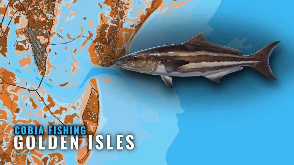 Cobia Fishing Out of Golden Isles: Reefs, Runs, Season