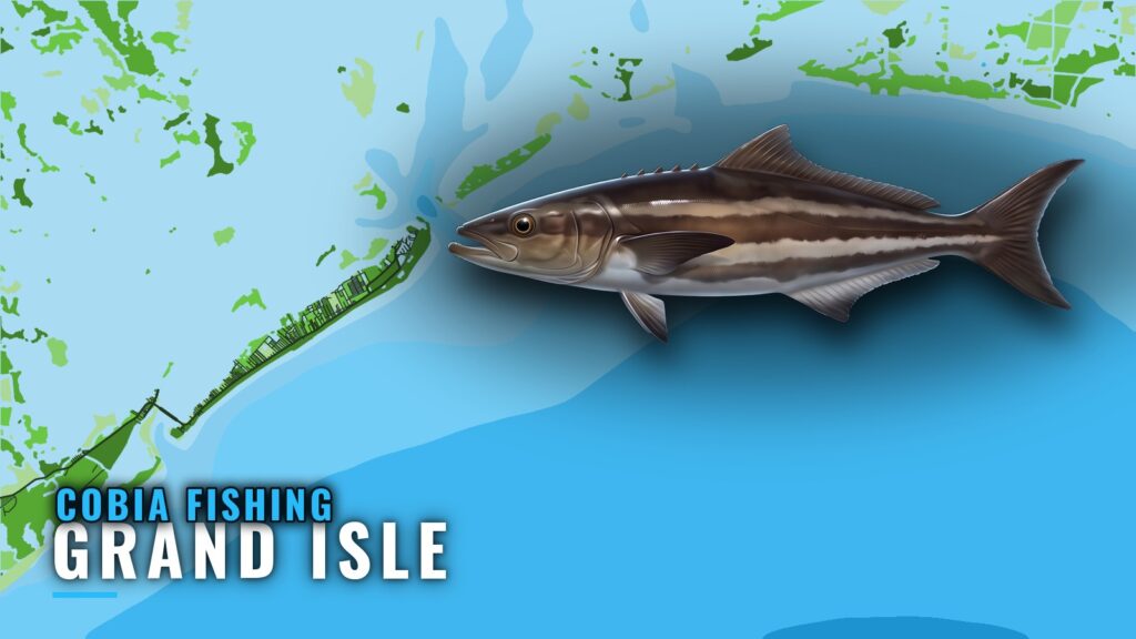 Cobia Fishing out of Grand Isle: Rigs, Reefs and Depths